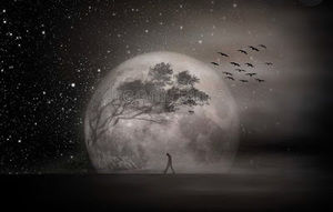 Meet your Posher, Doris